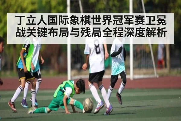 丁立人国际象棋世界冠军赛卫冕战关键布局与残局全程深度解析 - NG28